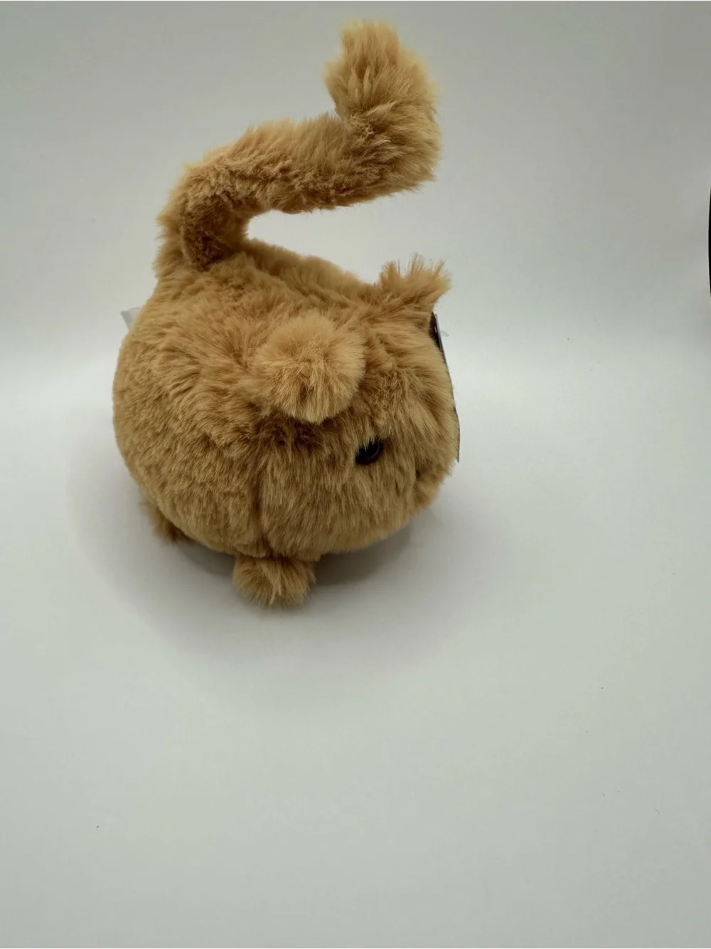 NWT Retired Jellycat Ginger kitten caboodle